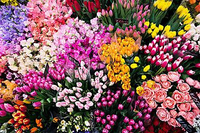 阔别十年！PAYDAY系列最新作《收获日3》今日正式发售